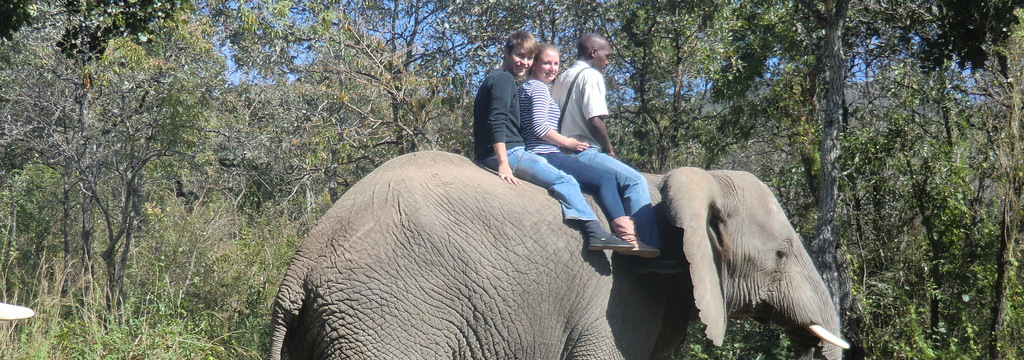 Wide 780 southafricagermany 2012 studfrederika elephantride